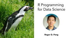 R Programming for Data Science (The Course)